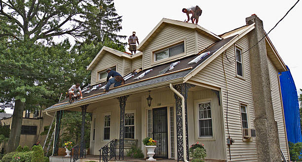 Best Storm Damage Roof Repair  in Marlinton, WV